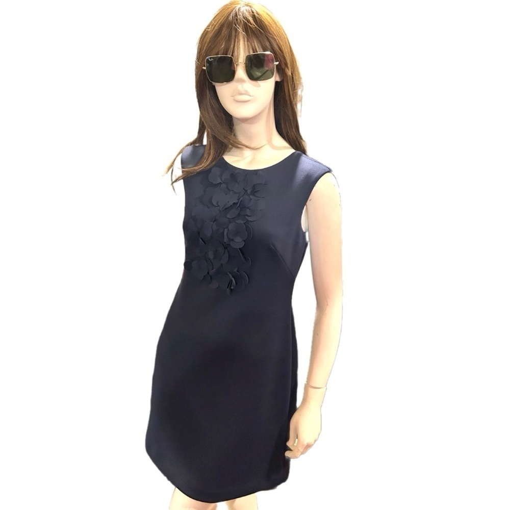 Eliza J Navy Applique Dress